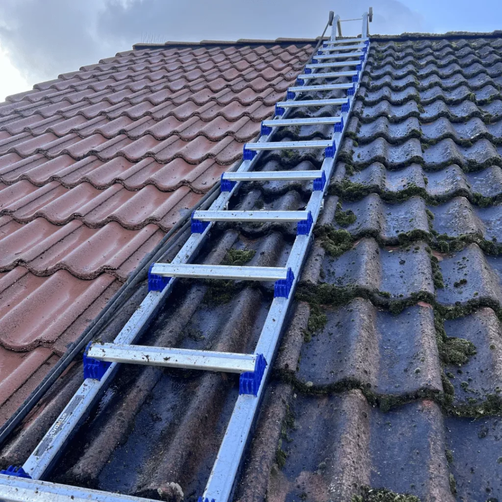 Dak ontmossen en reinigen door S-Line Softwash in Limburg